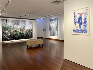 Memento installation view