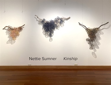 Kinship Installation Image